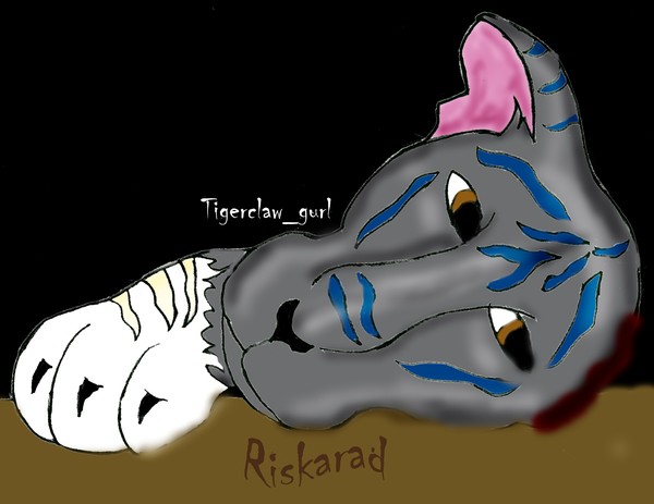 Riska petpage header