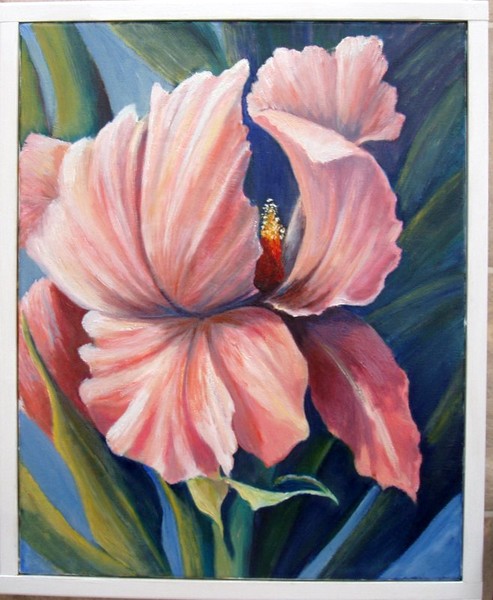 Iris