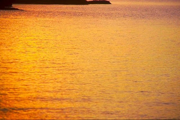 Golden Water