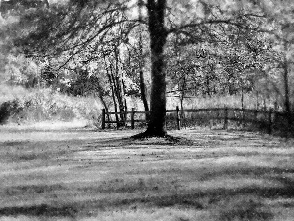 The Long Meadow