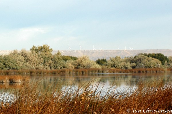 Hagerman Fossil Beds