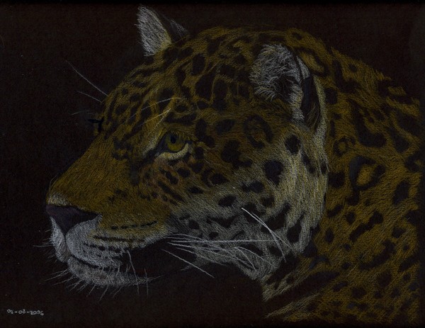 Jaguar