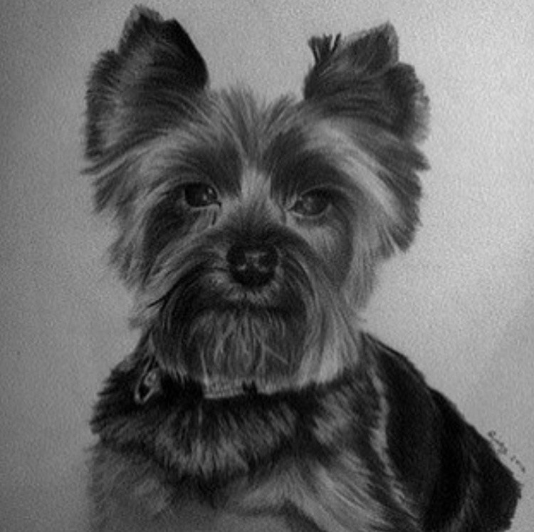Bella