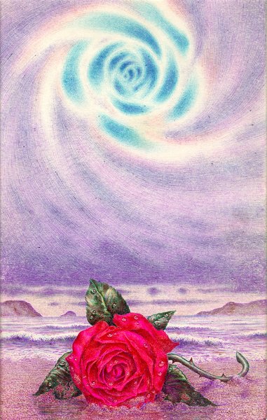 The rose in the sand - the azure