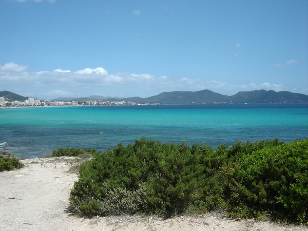 Callor Millor in Majorca