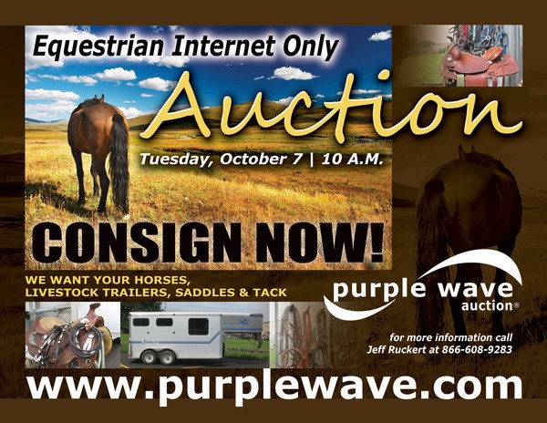Horse Auction Flier