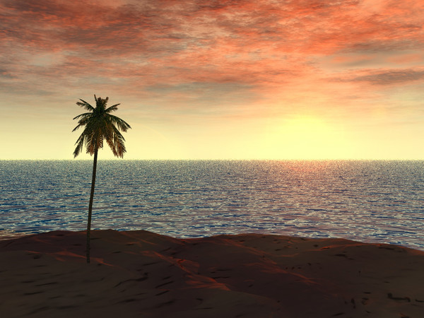 Clarkie's Sunset