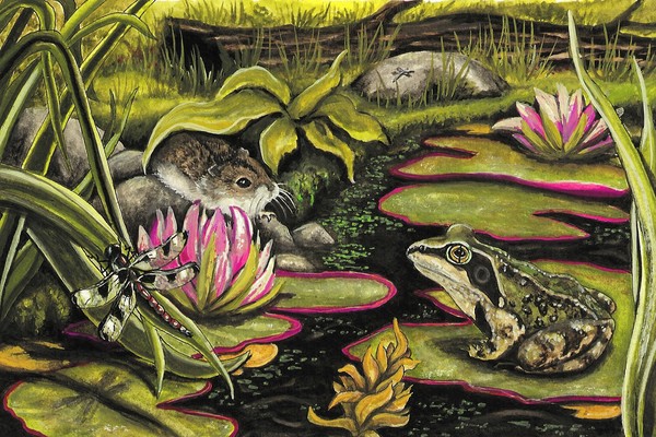Down by the Pond 