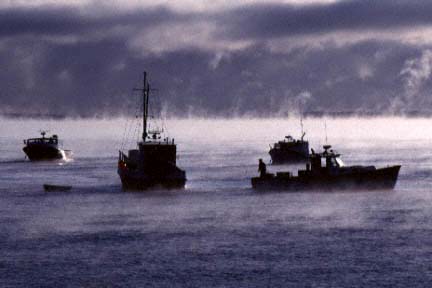 Sea Smoke, Spruce Head, Maine