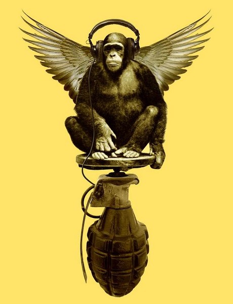 iMonkey