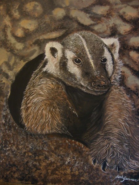 badger den