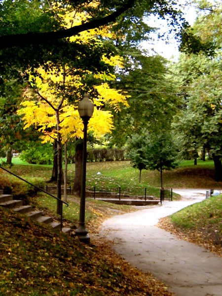 Autumn In The Park (Thirty Two)