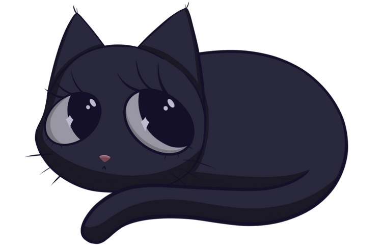 Black Cat Curled up