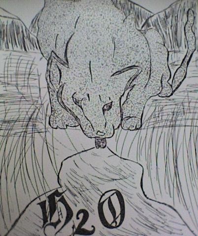 H2O