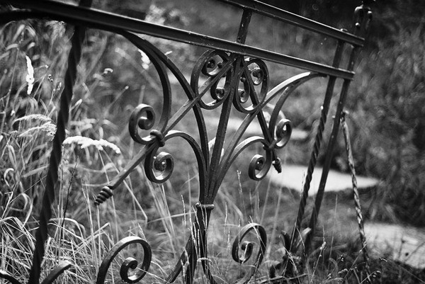Ancient Fence