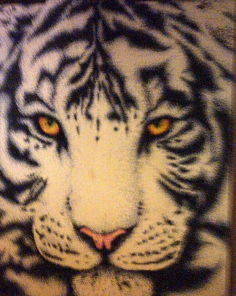 White Tiger