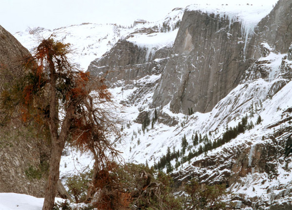 Winter in Tanaya Canyon