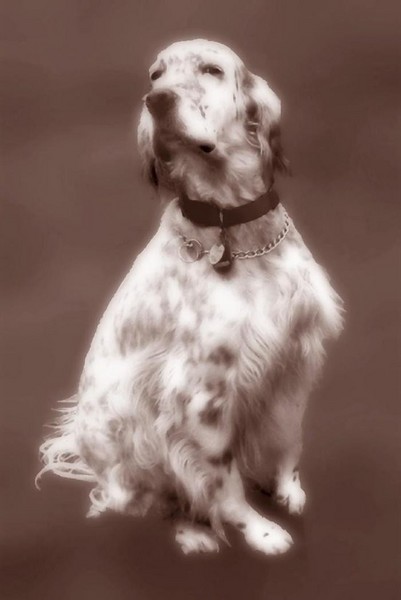 Noble