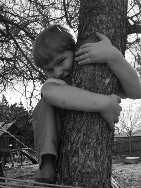 Tree Climber