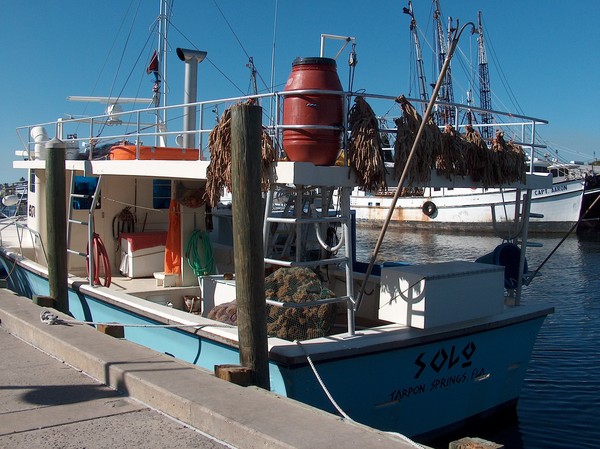 Sponge Boat