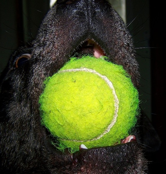 Tennis anyone?