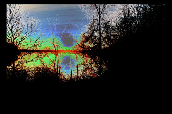 Through The Tree's