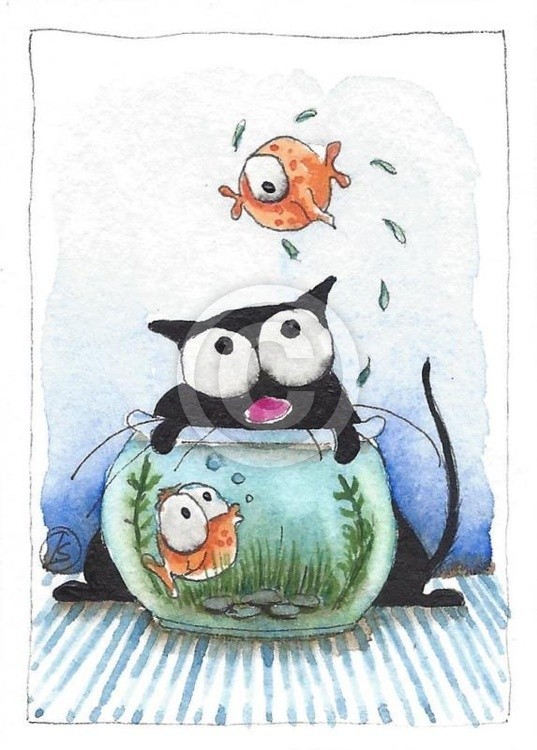 Fish out of water
