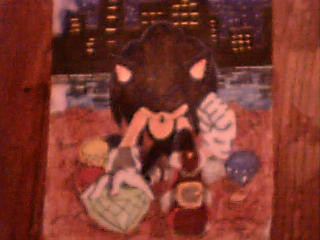 Sonic the hedgehog