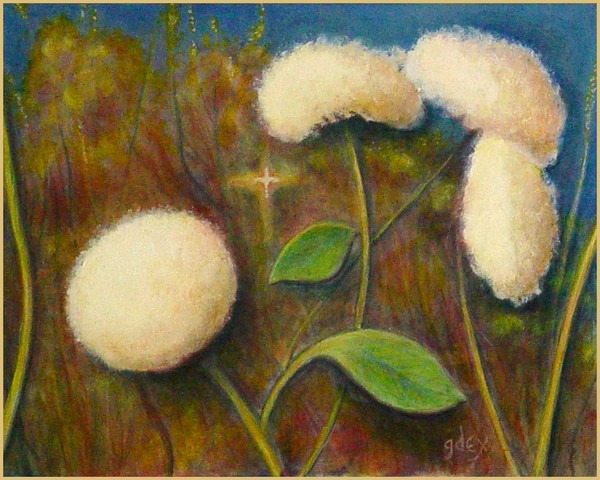 Pompoms