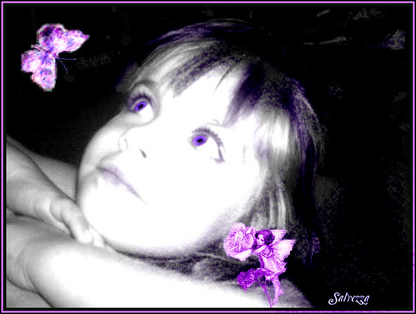 Butterfly Fantasy