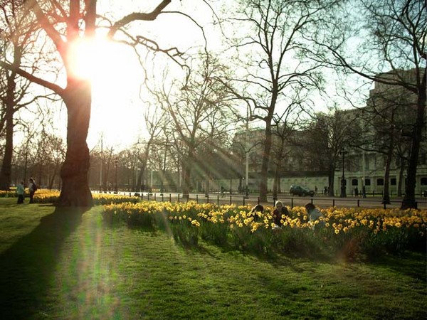 St. James's Park in Spring