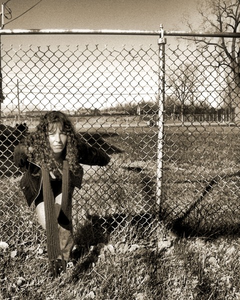 fence1