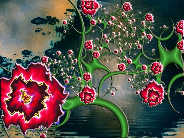 Roses