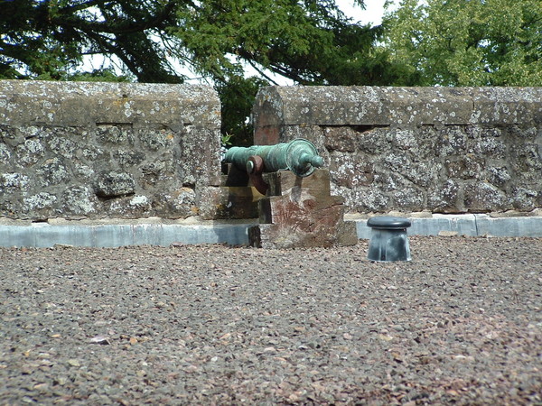 THE CANNON
