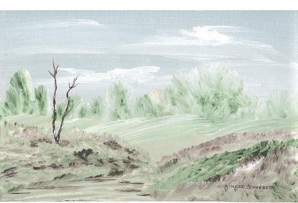 Memory of Home