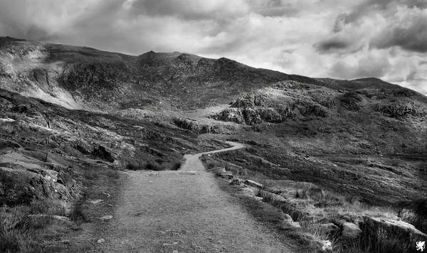 THE LAST MILE