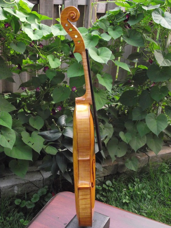 violin side view