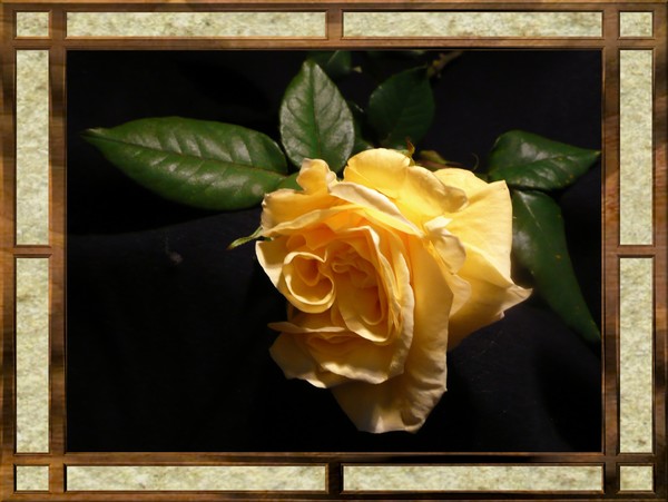 Nature's Beauty