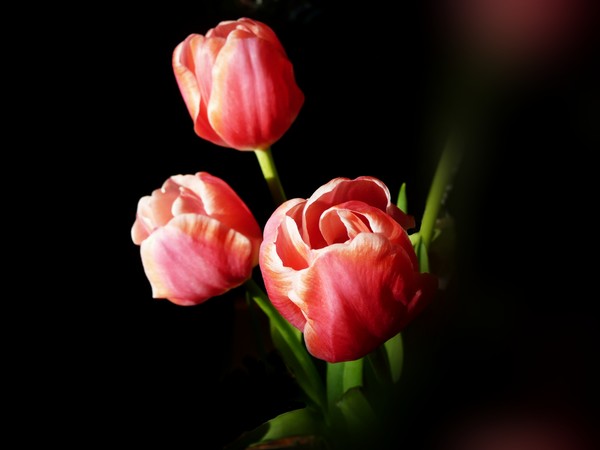 Make Holy My Day