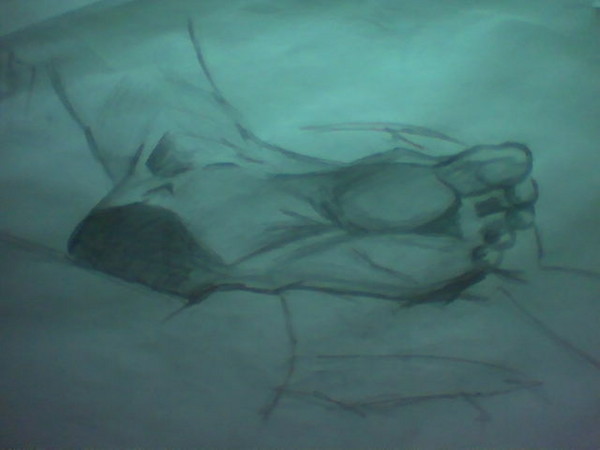 the foot