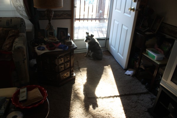 Me and my shadow