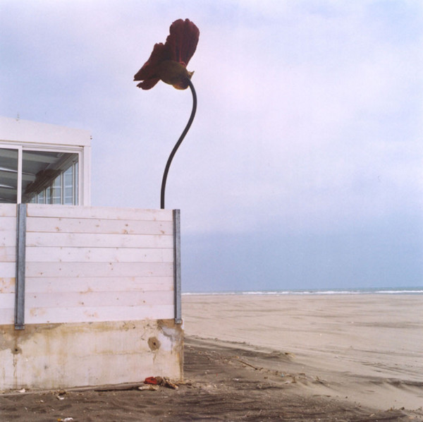 Ephemeral