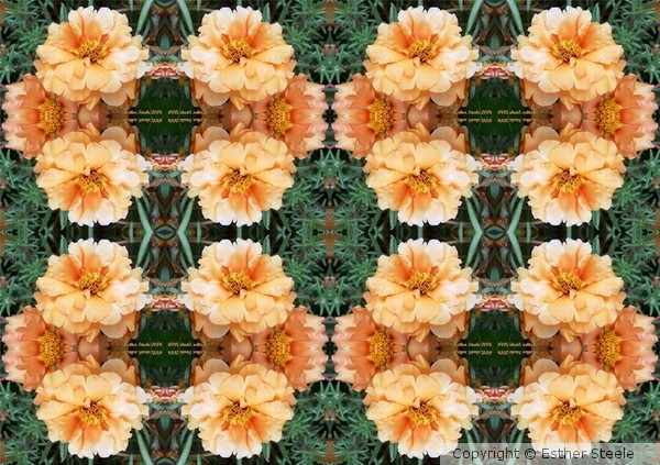 Peach Quilt