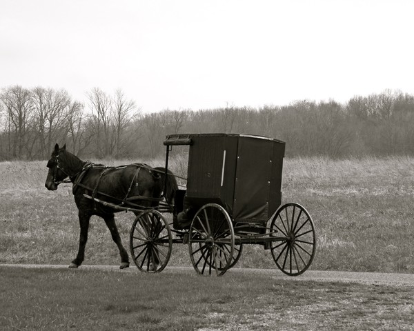 Our Country Life