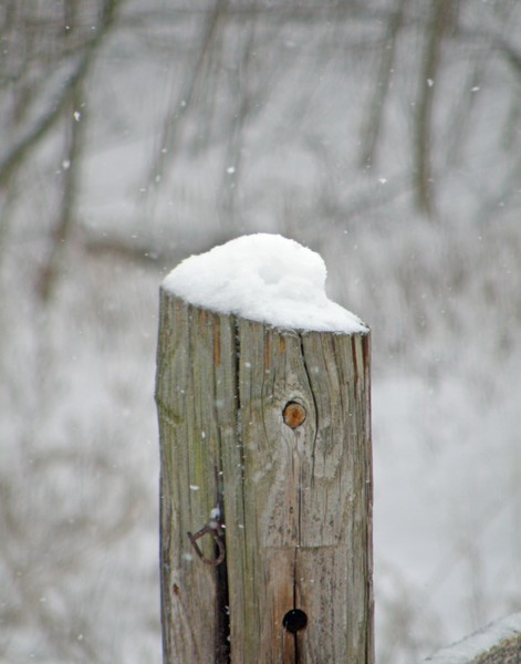 Winter Simplicity