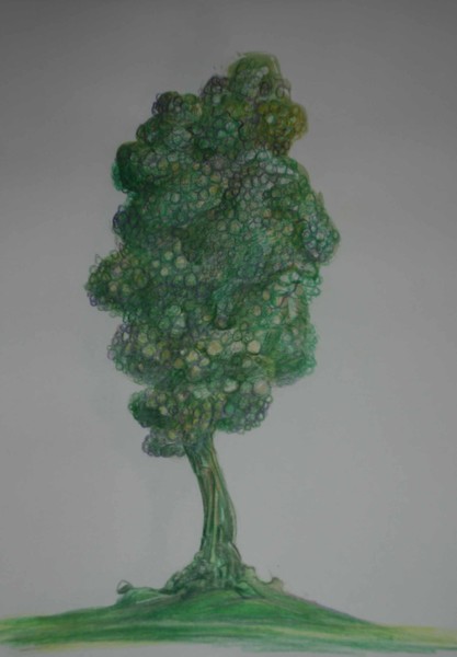 scaleular tree