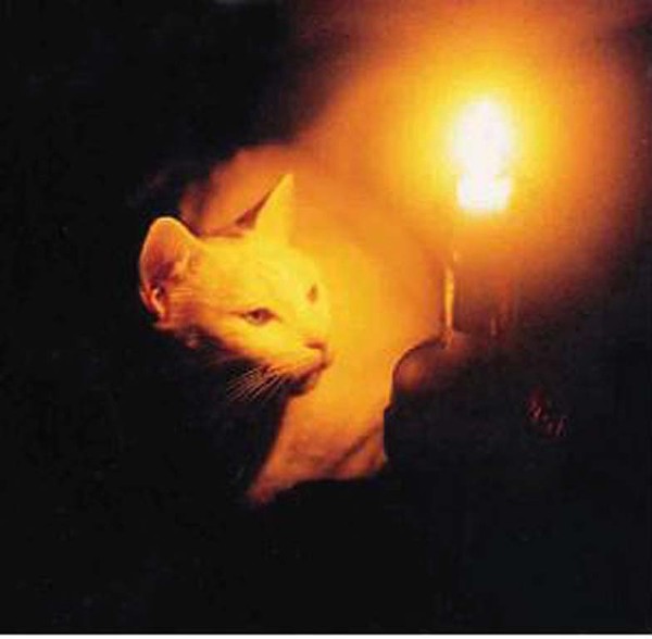 Missy by Candlelight