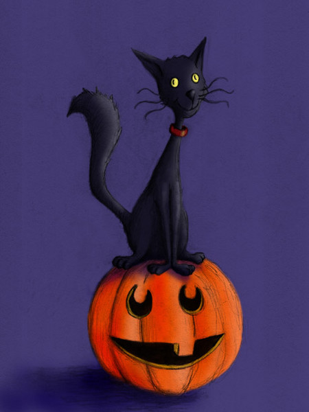 My Cat Slater