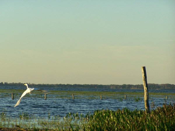 Taking Off - Florida