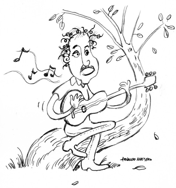 the guitarist